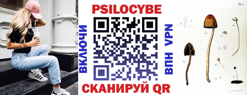 Галлюциногенные грибы Psilocybine cubensis  Купить закладки  Алейск 